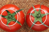 Mua cà chua đừng nắn bóp, nhớ 5 điều này để chọn được quả ngon, chín tự nhiên, không ủ thuốc