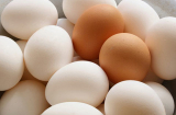 Chuyên gia chia sẻ thực hư trứng gà làm từ cao su và cách nhận biết trứng gà ngon