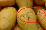 3 loại trái cây nằm trong 'danh sách đen' có thể nuôi dưỡng tế bào lạ, ăn vào bệnh tật đầy mình