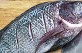Đi mua bán, tránh xa 4 loại cá này vì 'bẩn nhất chợ', chẳng những không có dinh dưỡng mà còn gây bệnh