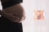 Bệnh tuyến giáp khiến phụ nữ khó thụ thai: Rất tiếc, nhiều người lại nhầm tưởng rối loạn 'đèn đỏ' thông thường