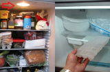 Lý do ngăn mát tủ lạnh có đèn, ngăn đá thì không: Đơn giản nhưng nhiều người không biết