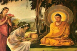 Phật dạy: 5 việc làm giúp kết nghiệp lành, tích phúc báo không kém gì phóng sinh