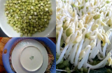 5 loại rau quả ngậm nhiều hóa chất, nhưng nhiều người Việt vẫn thích ăn