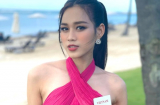 Đỗ Thị Hà đón nhận tin vui sau khi bị tụt 10 bậc trên bảng dự đoán Miss World 2021