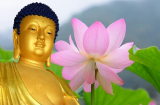 Phật dạy: Những khai thị về nhân quả báo ứng giúp bạn hết khổ mỗi ngày
