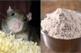 Đừng hoảng sợ nếu thấy chuột xuất hiện trong nhà bạn: Đem trộn những thành phần sau, chuột vĩnh viễn không dám bén mảng