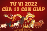 Tháng xui xẻo của 12 con giáp trong năm Nhâm Dần 2022: Tránh làm đại sự, cẩn thận tai ương
