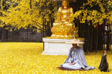 Phật dạy: 7 tầng nghiệp con người dễ phạm phải khiến vận khí, phúc báo tiêu tan