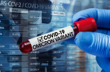 Thêm 90 triệu ca nhiễm sau 10 tuần phát hiện biến thể Omicron, WHO ra cảnh báo mới