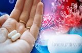 F0 sử dụng 2 loại thuốc Molnupiravir và Remdesivirc như thế nào mới đúng: Bộ Y tế hướng dẫn chi tiết