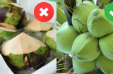 Dân trồng dừa mách 5 mẹo chọn dừa nhiều nước, ngọt lịm, không lo tiêm đường hóa học
