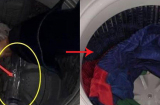 Bỏ 2 chai nhựa vào máy giặt, quần áo giặt xong bạn sẽ thấy khác biệt bất ngờ