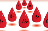 Nhóm máu liên quan gì tới bệnh tật: 1 nhóm cực khỏe mạnh, 3 nhóm còn lại lưu ý những bệnh sau
