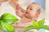 9 loại lá tắm trị rôm sảy, mẩn ngứa, mụn nhọt mùa hè hiệu quả: Trẻ con dùng rất tốt