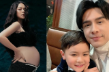 Showbiz 24/5: Phạm Quỳnh Anh đáp trả khi bị mỉa mai, Đan Trường tiết lộ con trai chưa biết ba mẹ đã ly hôn
