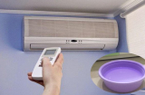 Bật điều hòa đặt thêm chậu nước để tản nhiệt mát phòng: Chuyên gia lắc đầu vừa hại sức khỏe, vừa tốn tiền oan