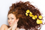 10 bước chăm sóc tóc đẹp toàn diện, bạn sẽ chẳng còn phiền não vì tóc khô xơ nữa