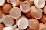 Đừng vứt vỏ trứng đi, bỏ vào ấm điện điều bất ngờ sẽ xảy ra: Công dụng tuyệt vời nhiều người đang tìm kiếm
