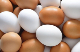 Ăn trứng gà tốt hơn trứng vịt, liệu có đúng hay không?