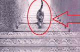 Trắc nghiệm: Chú mèo đang đi lên hay đi xuống cầu thang, cho biết tính các và độ thành công của bạn?