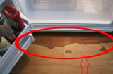 Tủ lạnh bị chảy nước đừng vội gọi thợ: Làm cách này sẽ khắc phục được ngay, không tốn kém