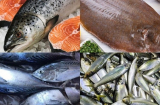 7 loại cá bổ dưỡng, giàu omega - 3, tốt cho sự phát triển trí não