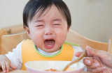 5 kiểu bón ăn được cha mẹ sử dụng thường xuyên nhưng lại gây nên sợ hãi cho trẻ