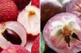 8 loại quả thuần Việt, không bao giờ nhập khẩu, tha hồ mua về ăn mà không lo hóa chất