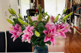 5 loại hoa tuy đẹp nhưng không may mắn để trong nhà khác gì 'mời gọi' vận xui: Số 2 nhiều nhà yêu thích