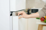 Thức ăn bảo quản trong tủ lạnh được bao lâu sau khi mất điện?