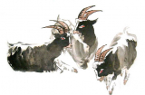 Tháng 12 Dương lịch: 3 con giáp dễ dính họa thị phi cẩn trọng mồm miệng kẻo rước tai ương