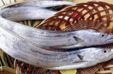 Đi chợ gặp 4 loại cá này nên mua ngay, đảm bảo đánh bắt tự nhiên, thịt chắc ngon lại nhiều chất bổ