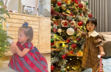 Nhóc tỳ nhà sao Việt lên đồ 'rục rịch' đón Giáng Sinh: Lisa nhà Hà Hồ cực yêu, Suchin như tiểu thư