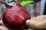 Chuyên gia giải thích lý do vì sao táo nhập khẩu để cả tháng vẫn không hỏng