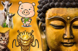 Mệnh Trời đã định: 4 tuổi là con nhà Phật dễ trúng số đổi đời, chẳng bon chen giàu sang tự đến