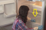 Lau tủ lạnh dùng nước lã là sai: Hòa thứ này vào tủ hết sạch mùi hôi, sạch tinh như mới