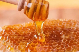 4 sai lầm khi uống mật ong gây hại sức khỏe, chớ dại mắc phải kẻo hối không kịp