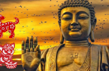 4 con giáp hưởng ân điển nhà Phật, 5 năm tới thay đổi số phận, mang vàng mang bạc về nhà