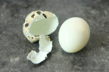 Luộc trứng cút đừng thả thẳng vào nồi: Thêm 2 bước này vỏ trứng tự động bong ra sạch sẽ