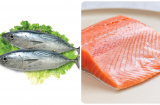 5 loại cá chứa nhiều thủy ngân chớ dại ăn nhiều kẻo hối không kịp: Đặc biệt loại thứ 3 nhiều người mê tít