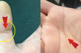 Lòng bàn tay có 4 dấu hiệu này dù nam hay nữ đều có số mệnh phú quý, sớm muộn cũng phát tài