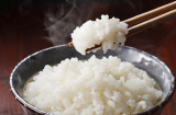 Vo gạo xong đừng vội nấu ngay, thêm bước này cơm thơm dẻo, hạt trong veo, để ngoài lâu hỏng