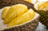 5 người không nên ăn sầu riêng kẻo hại cho sức khỏe