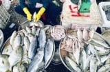 Đi chợ thấy 4 loại cá này đừng mua về ăn: Người bán cá tiết lộ nó chứa nhiều thủy ngân và chất độc