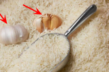 Vùi củ tỏi vào thùng gạo mang đến lợi ích bất ngờ, biết công dụng ai cũng muốn học theo