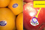 Mua táo, trái cây trong siêu thị nên chọn mã bắt đầu từ 3, 4 hay 8? loại nào ít chất bảo quản nhất?