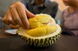 Những người tuyệt đối không nên ăn sầu riêng