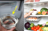 Đặt bát nước qua đêm trong tủ lạnh: Mẹo nhỏ mang đến lợi ích bất ngờ, nhà nào cũng cần