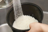 Lý do nên cho thêm muối khi vo gạo: Lợi ích tuyệt vời nhưng nhiều người chưa biết